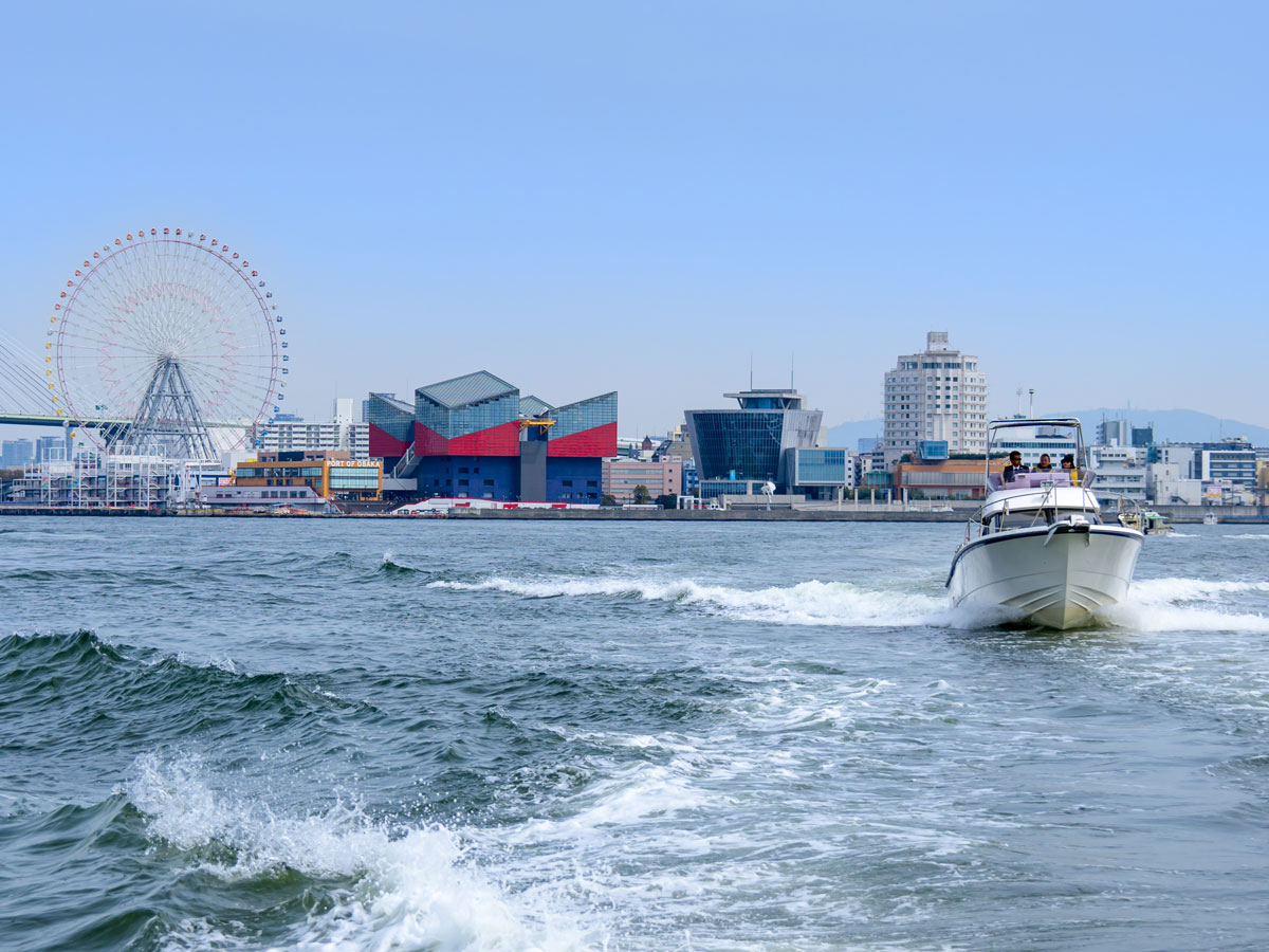 家族・友人との湾内観光